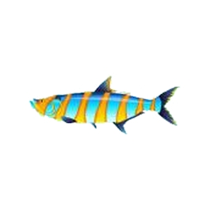 Blue Stripe Tarpon